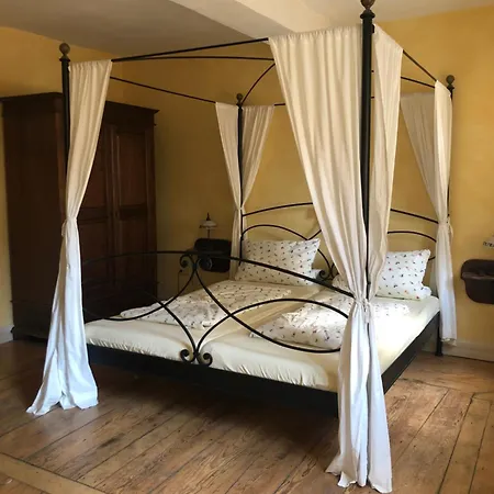 Altstadtmeise Elegance *