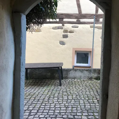 Altstadtmeise Elegance