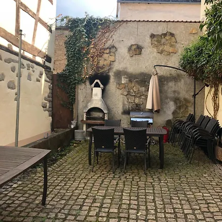 Altstadtmeise Elegance *